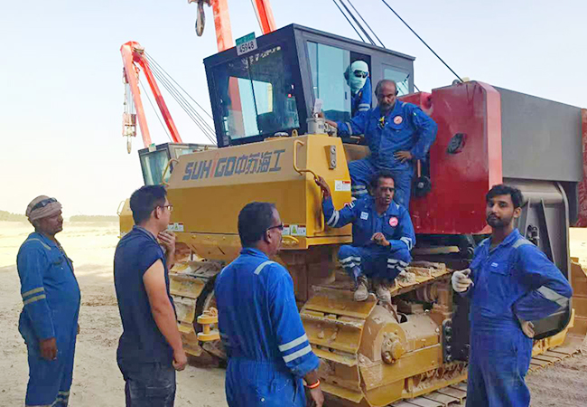 Egyptian Oil and Gas Engineering Company Project Pipe Crane Delivery